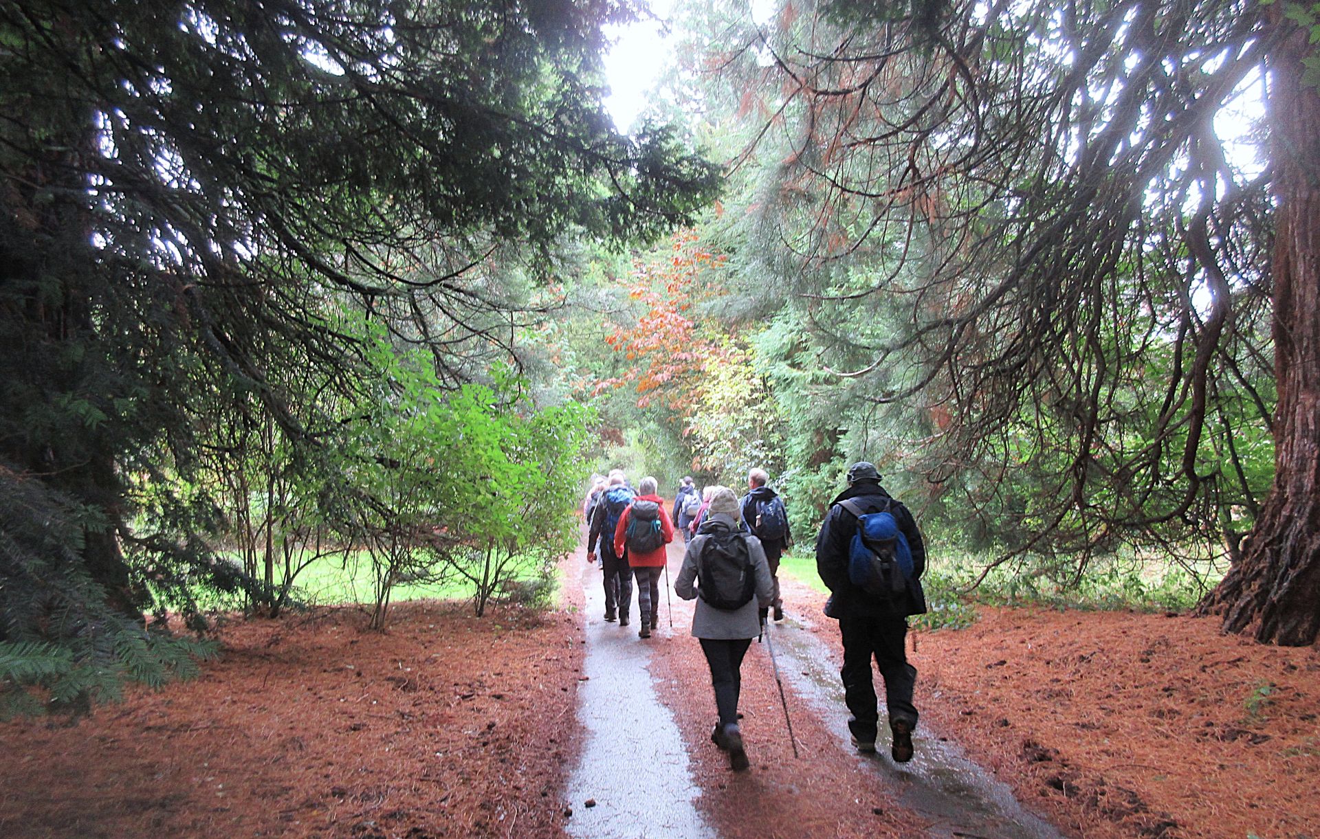 Potterhanworth Woods